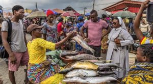 cost of fish in nigeria