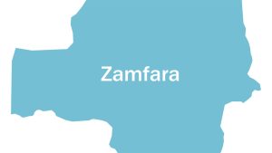 Insecurity: Zamfara govt orders house-to-house search