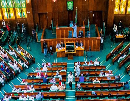 Reps pass bill to establish Oil and Gas, Technology Institute in Egbema