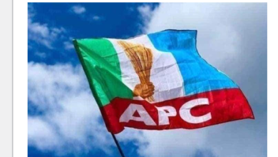 How Internal wrangling threatens to sink Adamawa APC ahead 2023