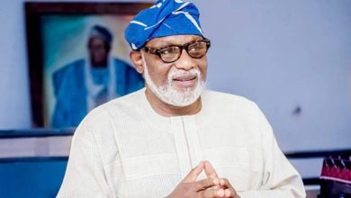 Ondo State to become the largest producer of palm oil - Akeredolu