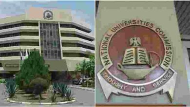 Nigerian university system