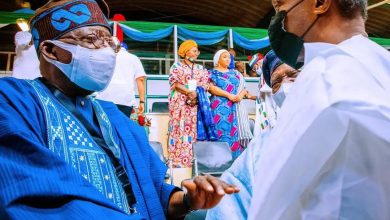 Vice President Yemi Osinbajo, Tinubu