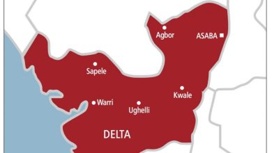 Delta State, APC, PDP