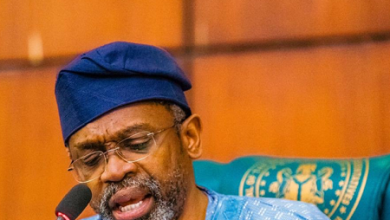 Amendment, Femi Gbajabiamila
