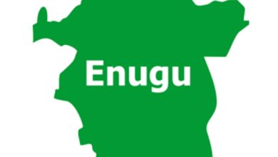 Enugu, scholarship