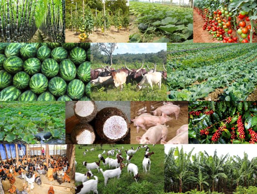 Farming