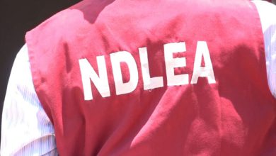 NDLEA seizes 179.102 kg of illicit drugs in Ebonyi