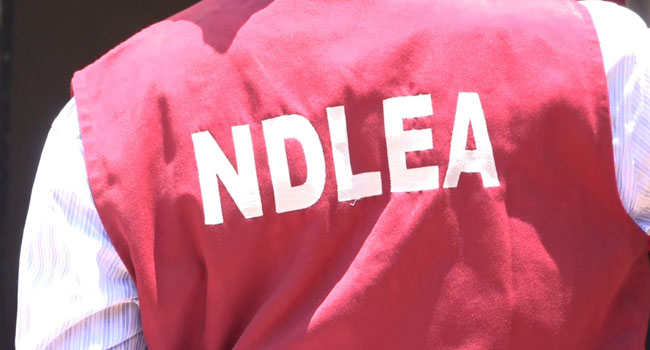 NDLEA seizes 179.102 kg of illicit drugs in Ebonyi