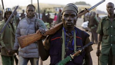 Nigerian Hunters and Forest Security Services