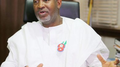 Sen. Hadi Sirika, Aireline