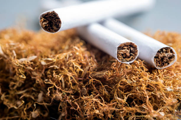 Tobacco