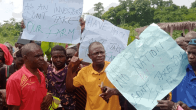 Cocoa farmers