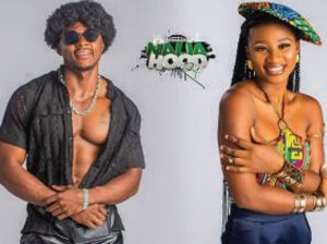 Ifedili, Omecheoko win N2m as Naija Hood Rep promotes entrepreneurship