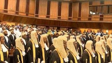 Adamawa JSC sacks 11, demotes judge, 20 others over fake certificates