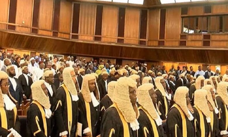 Adamawa JSC sacks 11, demotes judge, 20 others over fake certificates