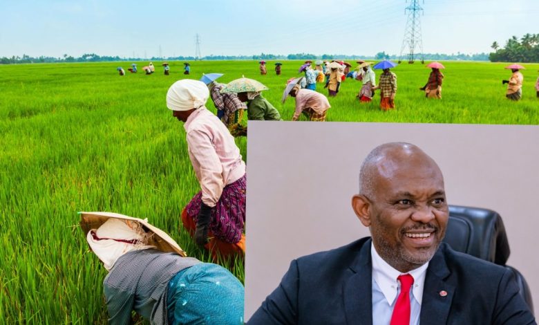 Agriculture