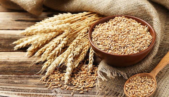 FG's intervention to avert collapse of wheat value chain