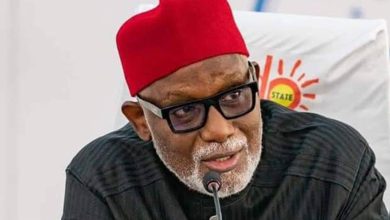 Linking Owo church attack to ISWAP too hasty, Akeredolu tells Fed Govt