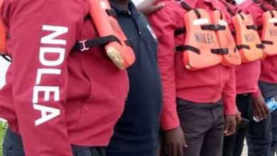 NDLEA Seizes hard drugs worth over N600m at Port Harcourt Airport
