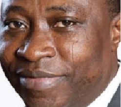 Expert highlights importance of credit bureau reporting in economy
