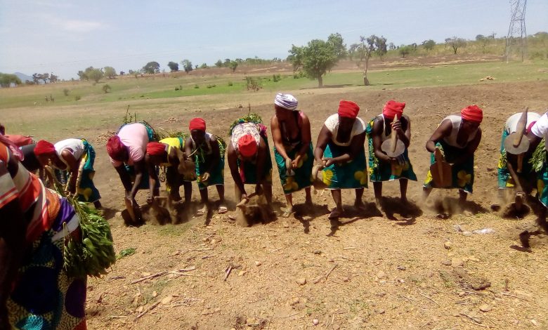 farmers