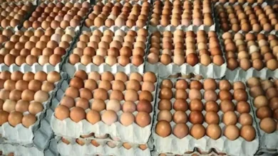 Nigeria spends $3.49b on importation of fish, eggs, other items