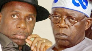 Ameachi of Rivers State and Tinubu of Lagos