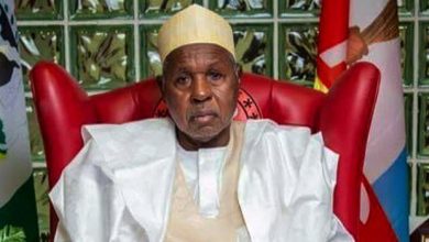 Insecurity: Don't wait for govt, defend yourselves, Masari tells Nigerians