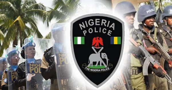 Reports on alleged disappearance of male genital organs, not true-Borno police command