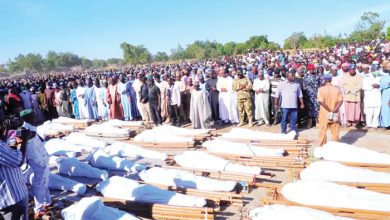 Hungry terrorists slaughter Borno farmers for not meeting demands