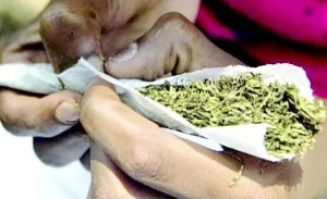 Police kill hoodlums, arrest suspect with India hemp