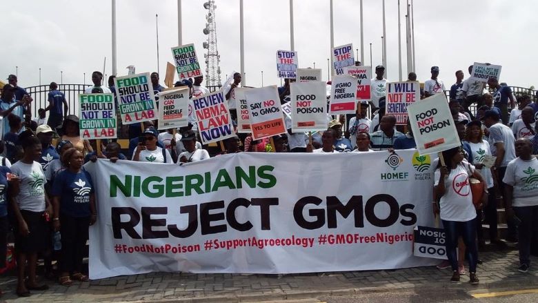 Groups commend Senate for backing strict enforcement, regulation of GMOs in Nigeria