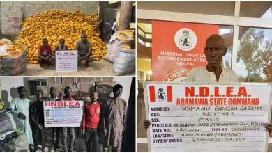 NDLEA nabs 75-year-old grandpa, 21 others over tons of illicit drugs