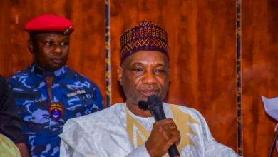 Ex-DIG calls for arrest of Zamfara Deputy Governor