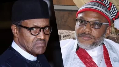 Senators Demand Release Of Nnamdi Kanu