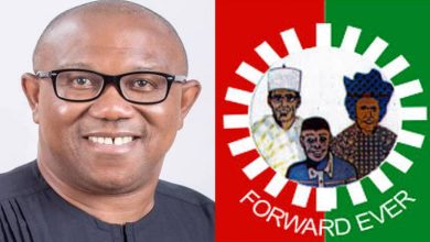 South-East Monarchs endorse Obi for President