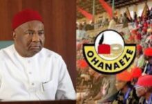 Imo Guber: Ohanaeze accuses Northern APC of Plot against Gov Uzodinma