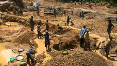 Seek alternative means of livelihood, Gombe Govt tells illegal miners