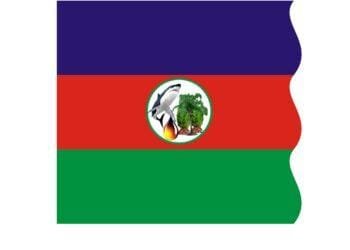 INC blast Obasanjo, says his attack on Niger Delta provocative