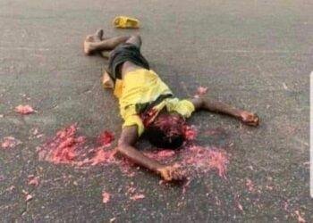 Trailer Crushes Man to Death in Delta