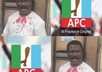 Lagos Council Suspends Councillor for Beating APC Chairman