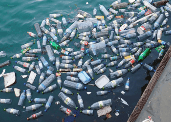 Banks raise clean oceans initiative budget to $4.6b for elimination of marine waste