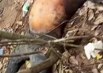 Decomposing Body of Kidnapped Man Found in Delta Community...