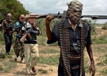 Terrorists invade security post, kill soldier, police in Borno