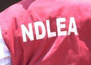 NDLEA Operatives Arrest Drug Trafficker, Recover Cocaine Worth N3.1bn in Lagos