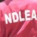 NDLEA Operatives Arrest Drug Trafficker, Recover Cocaine Worth N3.1bn in Lagos