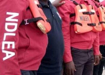 CSOs Call for Adequate Protection of NDLEA Officials, Facilities