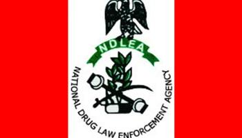 NDLEA Raids Lagos Drug Den, Arrests Female Kingpin, Others, Recovers 5,862kg Drugs