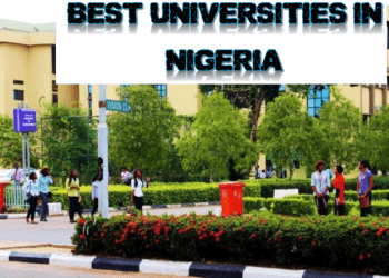 OPINION: The Harvest of New Universities, By Karo Ogbinaka